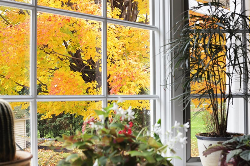 5 Tips to Improve Your Indoor Air Quality This Fall. Photo of a window in a kitchen or living room, overlooking an outside autumn view.